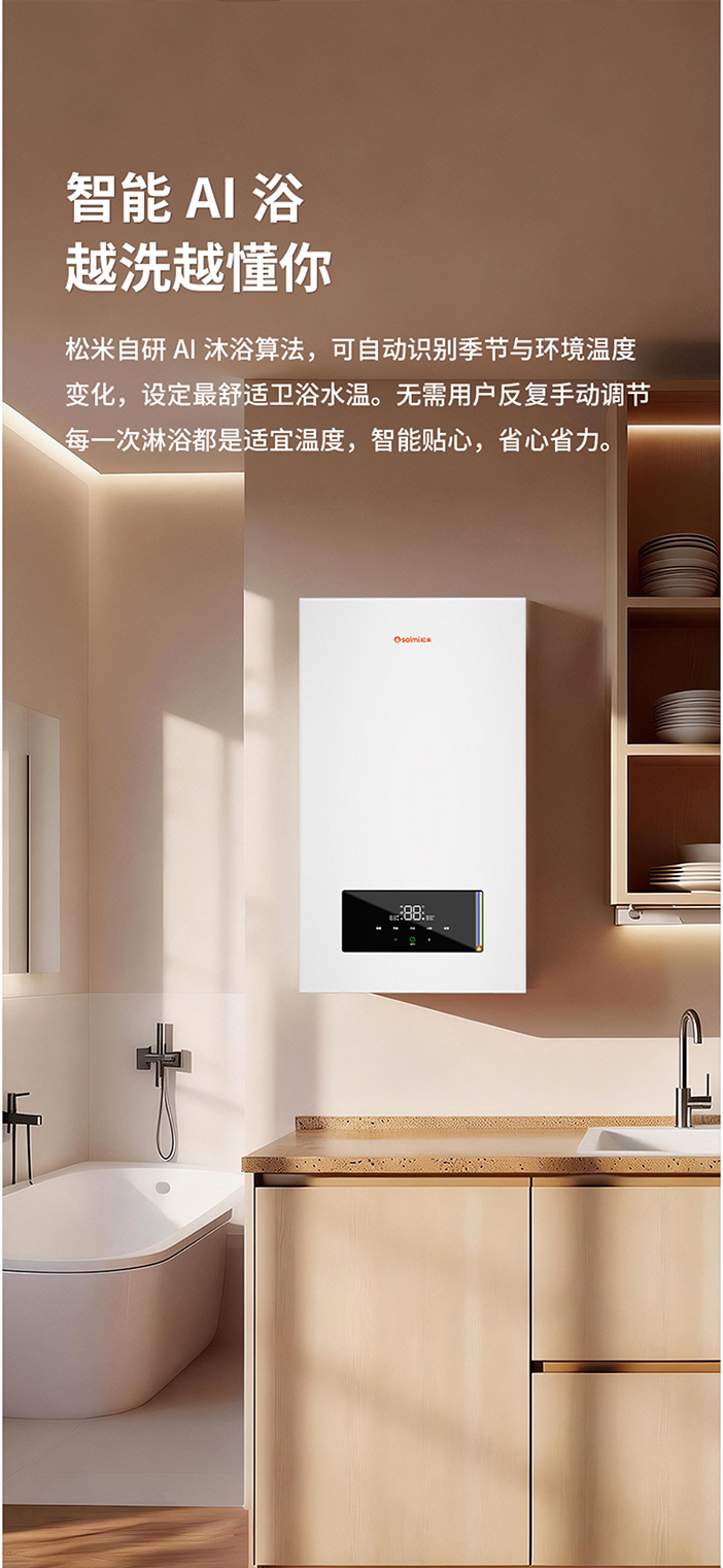 实用壁挂炉RX102系列
